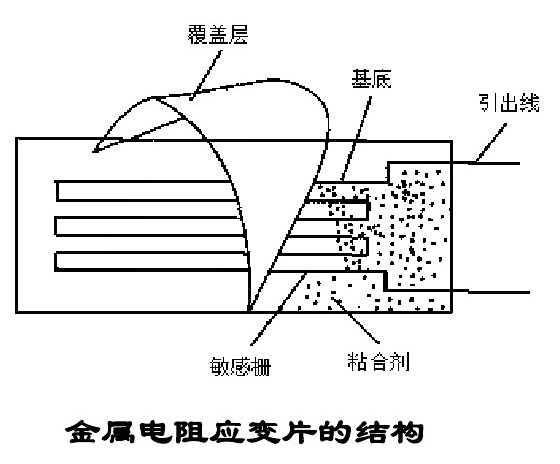 金屬電阻應(yīng)變片的內(nèi)部結(jié)構(gòu).jpg